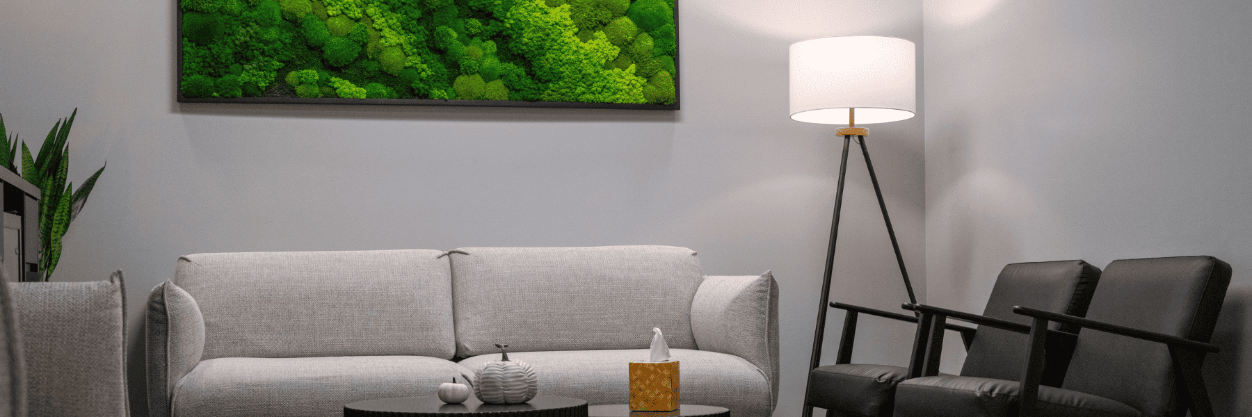 Same-Day Crowns and Bridges | Dentist